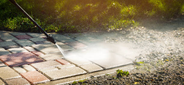 Solar Panel Cleaning in Shelton, NE