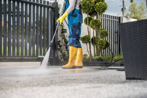 Animal Enclosure Cleaning in Shelton, NE